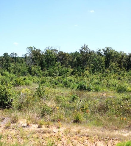 0 Lot 10 Lebleu Settlement Unit 29-2025, Leesville, LA 71446