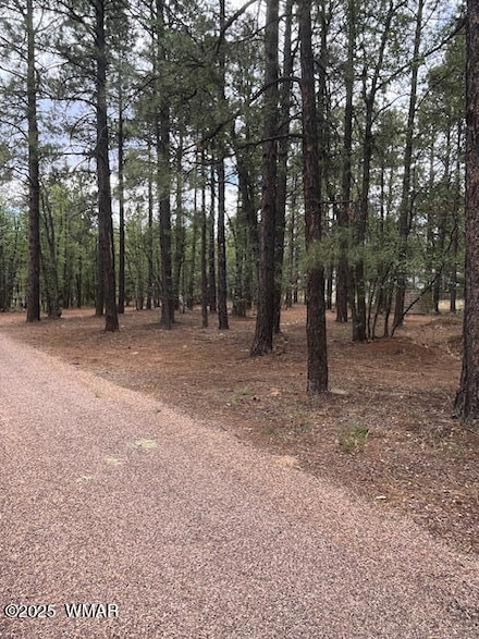 5480 Apache Trail, Pinetop Country Club, AZ 85935