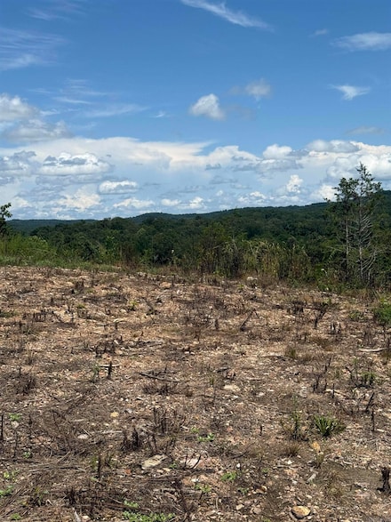 12952 Highway 5, Norfork, AR 72658