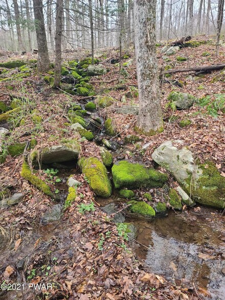 18 Acres Kellows Rd, Oregon Township, PA 18431