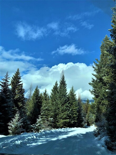 Lot 1 Butcher Creek W, Trego, MT 59934