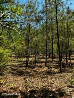 0 Wiley Gaskins & Nc 118 Unit 100454101, Grifton, NC 28530