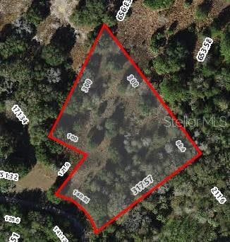 11403 N Lisette Path, Dunnellon, FL 34433