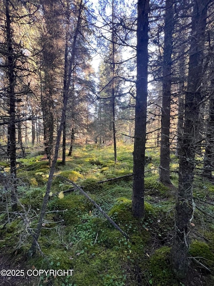 L7 Shegota Loop, Happy Valley, AK 99639