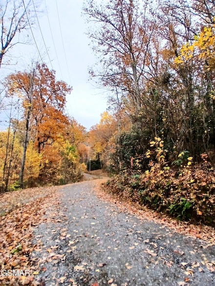 Lot 3 Rocky Ridge Rd, Cosby, TN 37722