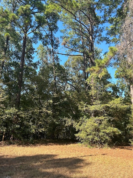 545556 Grand Pine Loop, Livingston, TX 77351