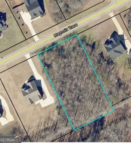 0 Magnolia Trace Unit 10551135, Milner, GA 30257