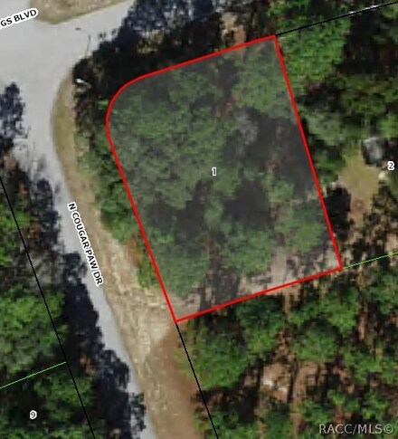 9371 N Cougar Paw Dr, Citrus Springs, FL 34433