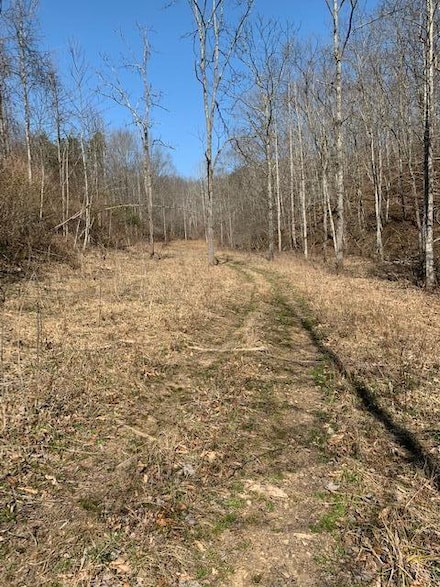 0000 Haney Branch Rd, West Liberty, KY 41472