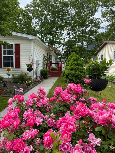 6 Locust Ct, Mays Landing, NJ 08330