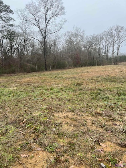 4343 Feliciana Dr, Clinton, LA 70722