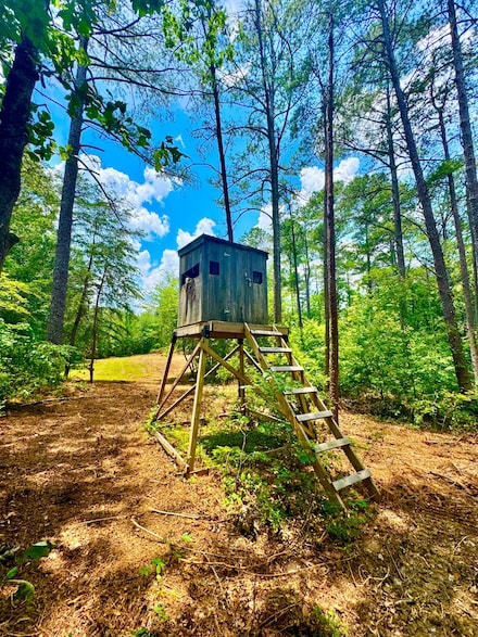 0 County Road 2 Unit 11536528, Double Springs, AL 35553