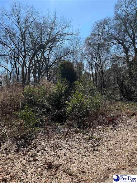 658 S Miriam Ave, Florence, SC 29506