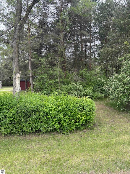 TBD Carter St, Mount Pleasant, MI 48858
