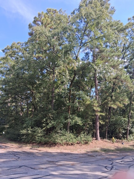 TBD Rantoul Ct, Huntsville, TX 77320