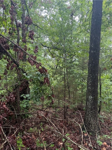Lot 7, Block 5 Banff Dr, Bella Vista, AR 72715
