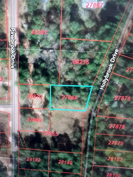 0 Hollybrook Dr, Plantersville, TX 77363