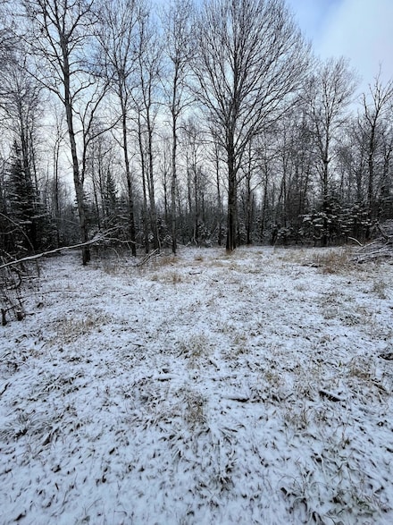 TBD Pinewood Ln NW, Angle Township, MN 56711