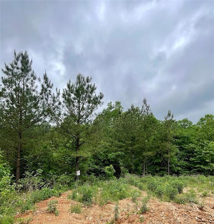 656 Timber Creek Trails South Xl, Broken Bow, OK 74728