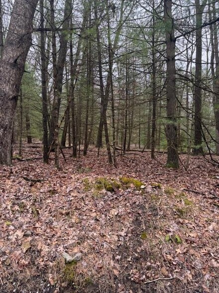 000 Iron Bridge Rd, Clarington, PA 15828