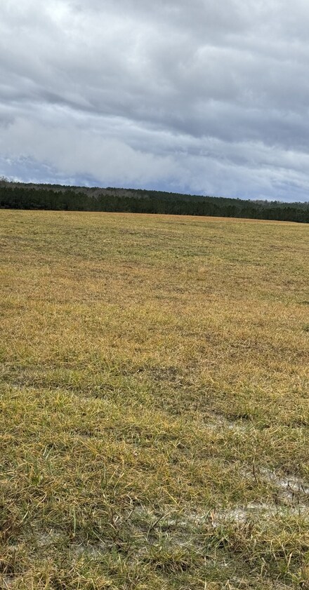 0 Equine Way Unit RTC2608570, Spencer, TN 38585