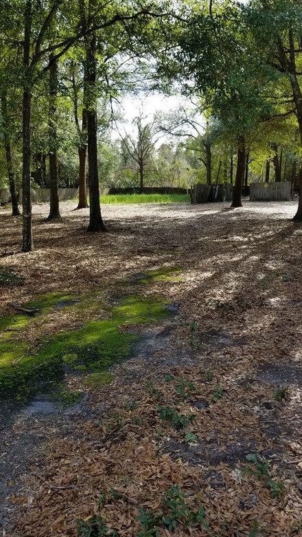 1020 Heph McBean Rd, Hephzibah, GA 30815