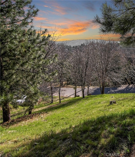 0 St Bernard Ln Unit IV25082234, Lake Arrowhead, CA 92352