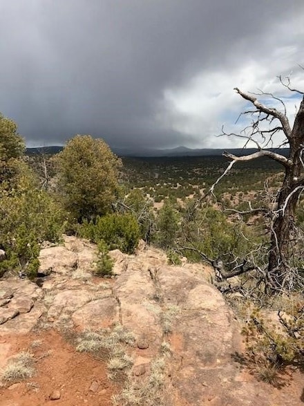 4 Calle Largo, Ribera, NM 87560