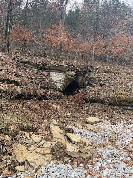 LOT 213 Lone Oak Dr, Cape Fair, MO 65624