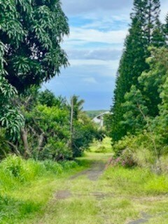 94-1905 Kamaoa Dr, Naalehu, HI 96772