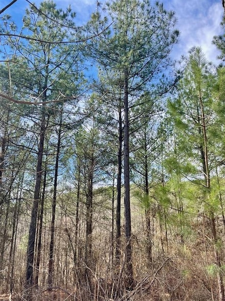 764 Timber Creek Trails South Xl, Broken Bow, OK 74728