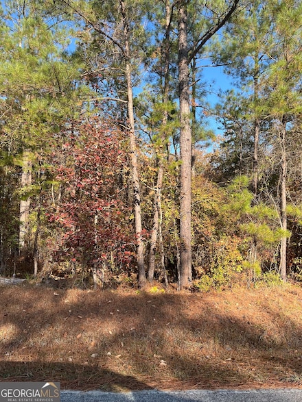 0 Ethridge Place Unit 10639303, Gray, GA 31032