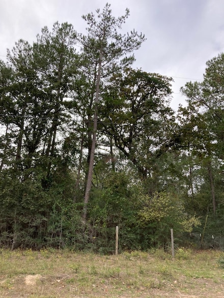 16596 Camelia Ln, Plantersville, TX 77363