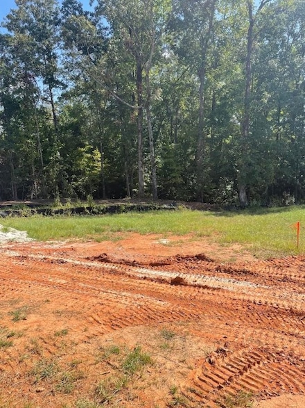 125 Merlin St, Opelika, AL 36801