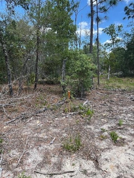 TBD SW 57th Ave Unit 48 & 49, Interlachen, FL 32148