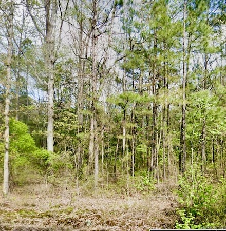 "TBD" Buck Run, Hensley, AR 72065