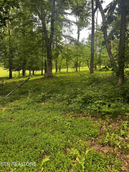 0 Northview Dr, Kodak, TN 37764