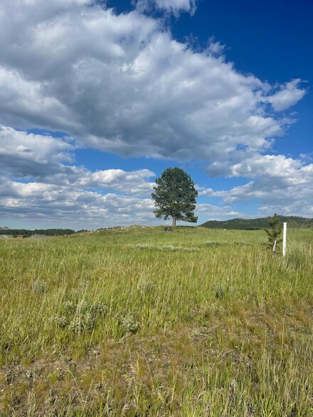 Lot 24, Block 1 Park Ave Unit Stone Hill Subdivisi, Custer, SD 57730
