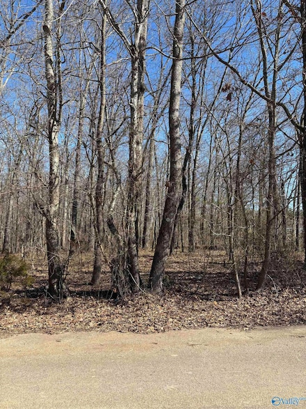 1 acre Honea Rd, Hazel Green, AL 35750