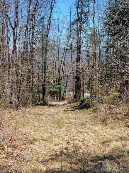 0 Granby Rd, North Concord, VT 05858