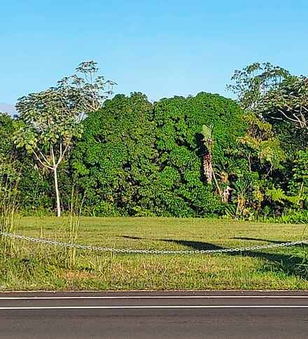 16-300 Ainaloa Blvd, Pahoa, HI 96760