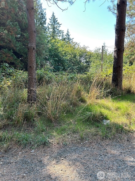 0 Hazel 001 St, Shelton, WA 98584