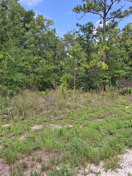 Lot 7 Crabapple Rd, Weeki Wachee, FL 34614