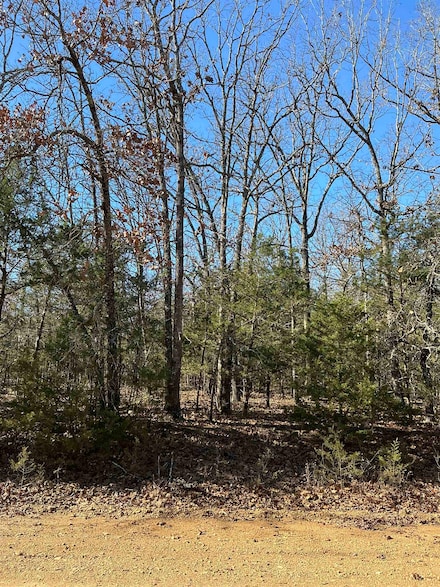 TBD Wolf Hollow Rd, Ash Flat, AR 72513