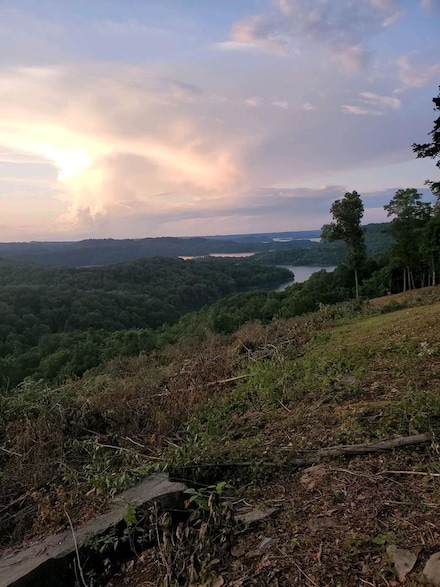 22 N Rockfish Rd, Celina, TN 38551