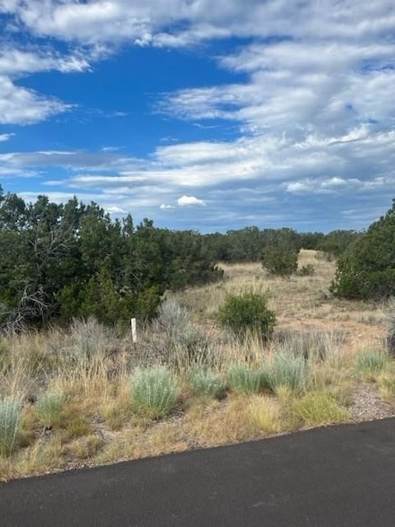 6 Windridge Cir, Santa Fe, NM 87506