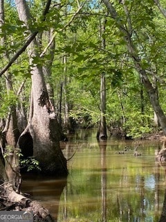 0 Cow Ford Bridge Rd Unit 10535184, Kite, GA 31049