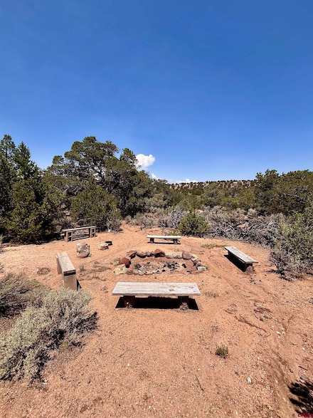 1134 Jorgulesco Rd, Fort  Garland, CO 81133