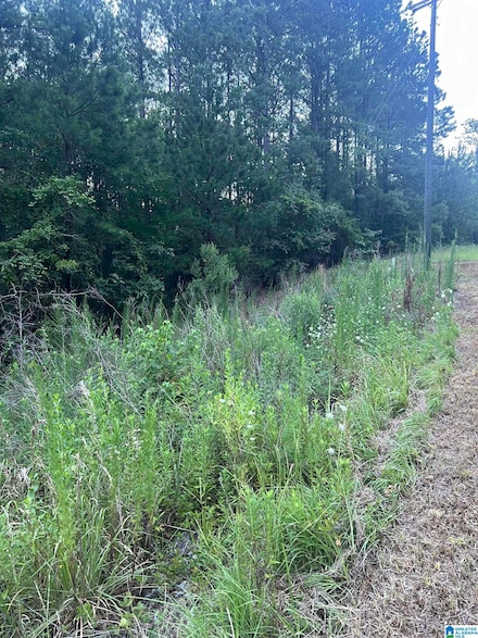 0 Shore Side Ln Unit 215 21390268, Sylacauga, AL 35151