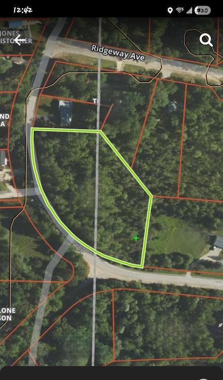 V/L L71-75 Evergreen Dr, Grayling Township, MI 49738